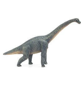 Brachiosaurus