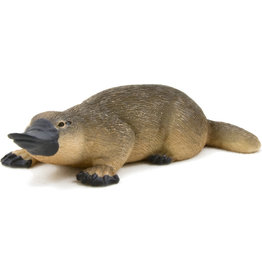 Duck Billed Platypus