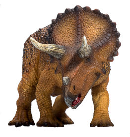 Triceratops