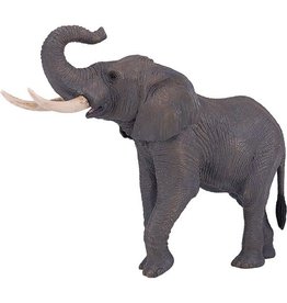 African Elephant XXL