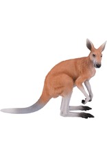 Kangaroo Large