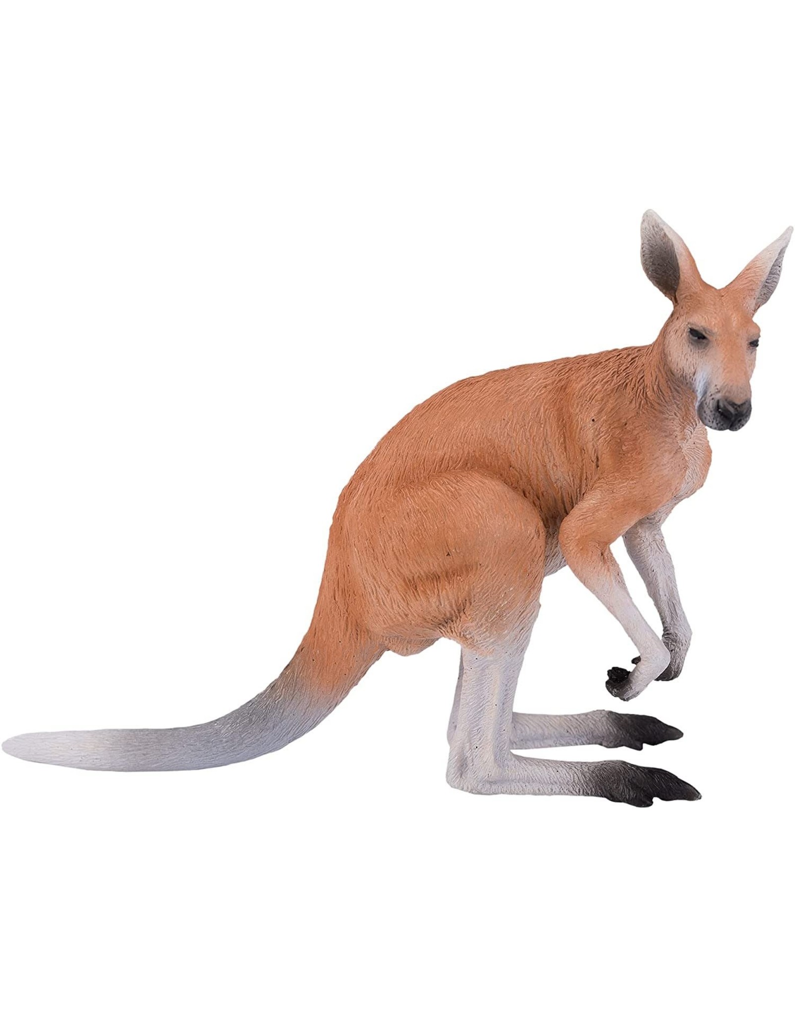 Kangaroo Large