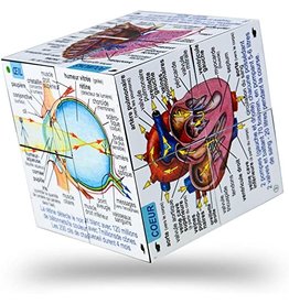 Cube Book Human Body