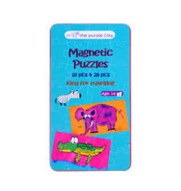 Magnetic Puzzles