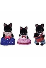 Midnight Cat Family