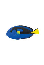 Blue Tang
