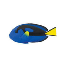 Blue Tang
