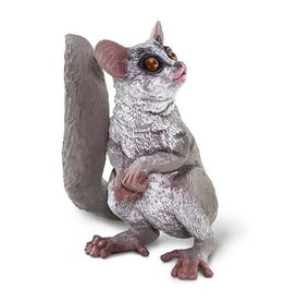 Bush Baby