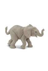 African Elephant Baby