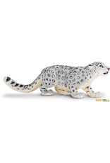 Snow Leopard