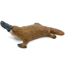 Platypus