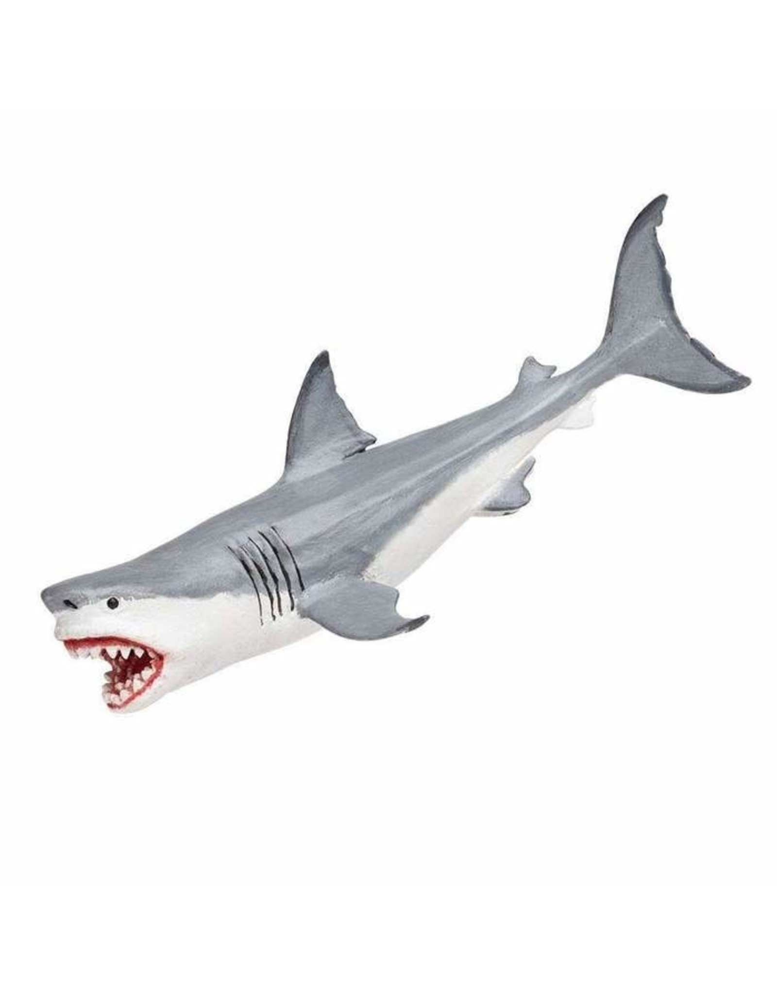 Megalodon