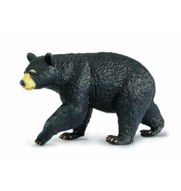 Black Bear