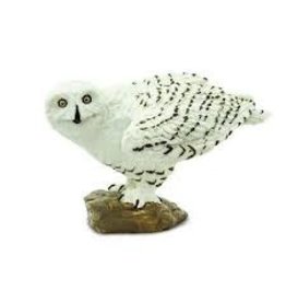 Snowy Owl