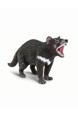 Tasmanian  Devil
