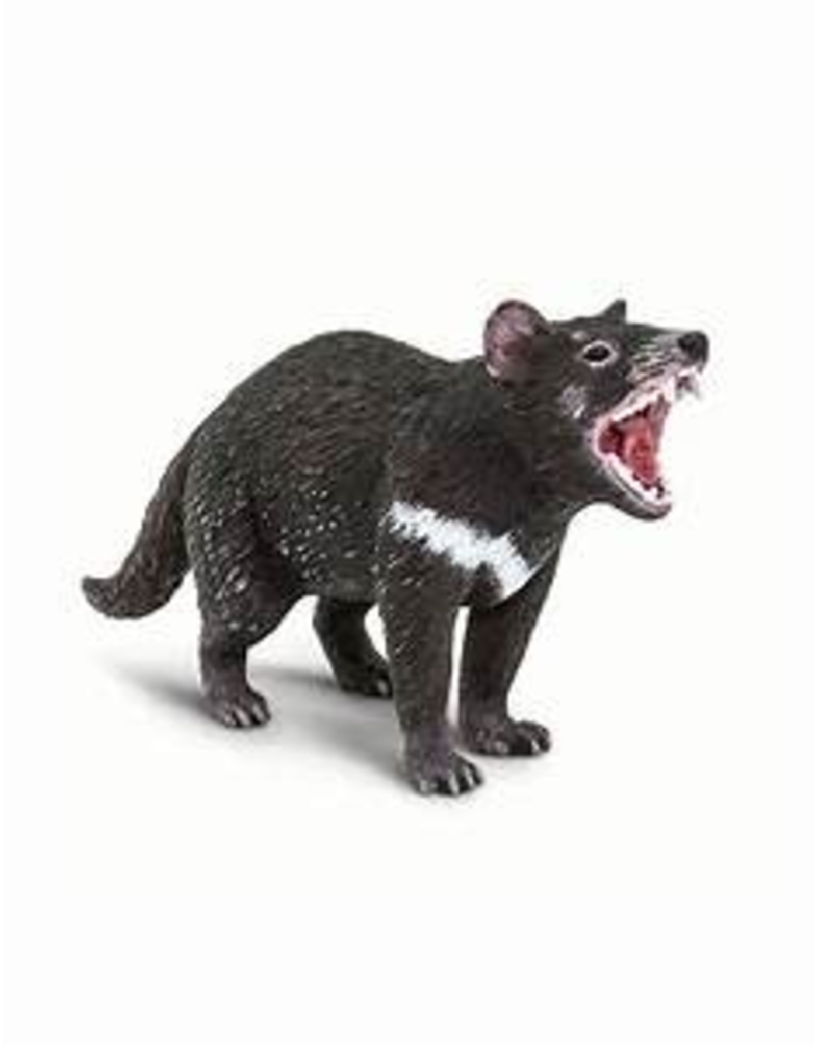 Tasmanian  Devil