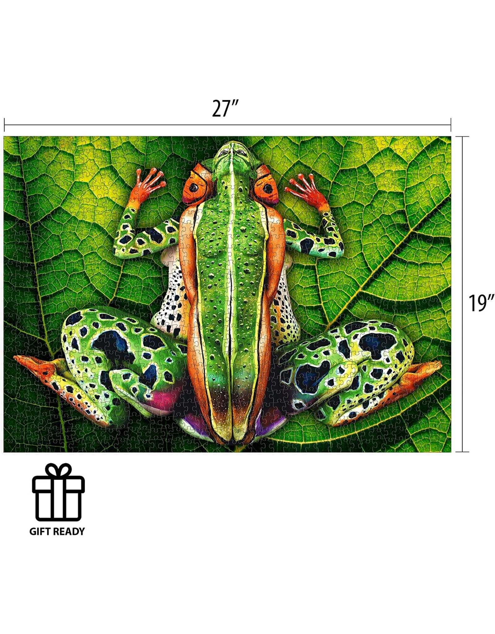 Johannes Stotter Frog Body Art 1000 pc
