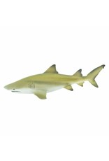 Lemon Shark