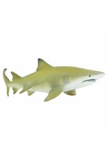 Lemon Shark