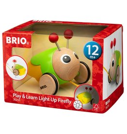 Play and Learn Light Up Firefly
