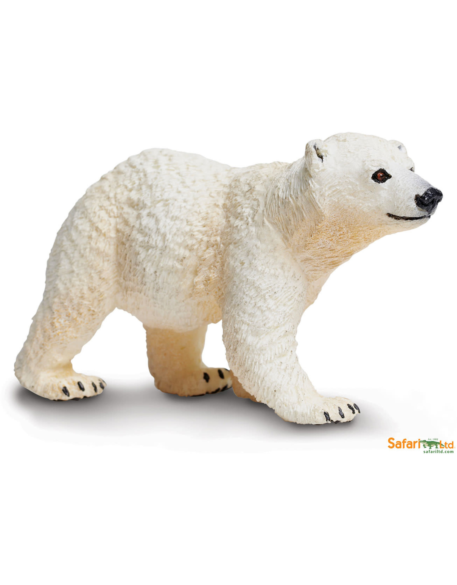 Polar Bear Cub