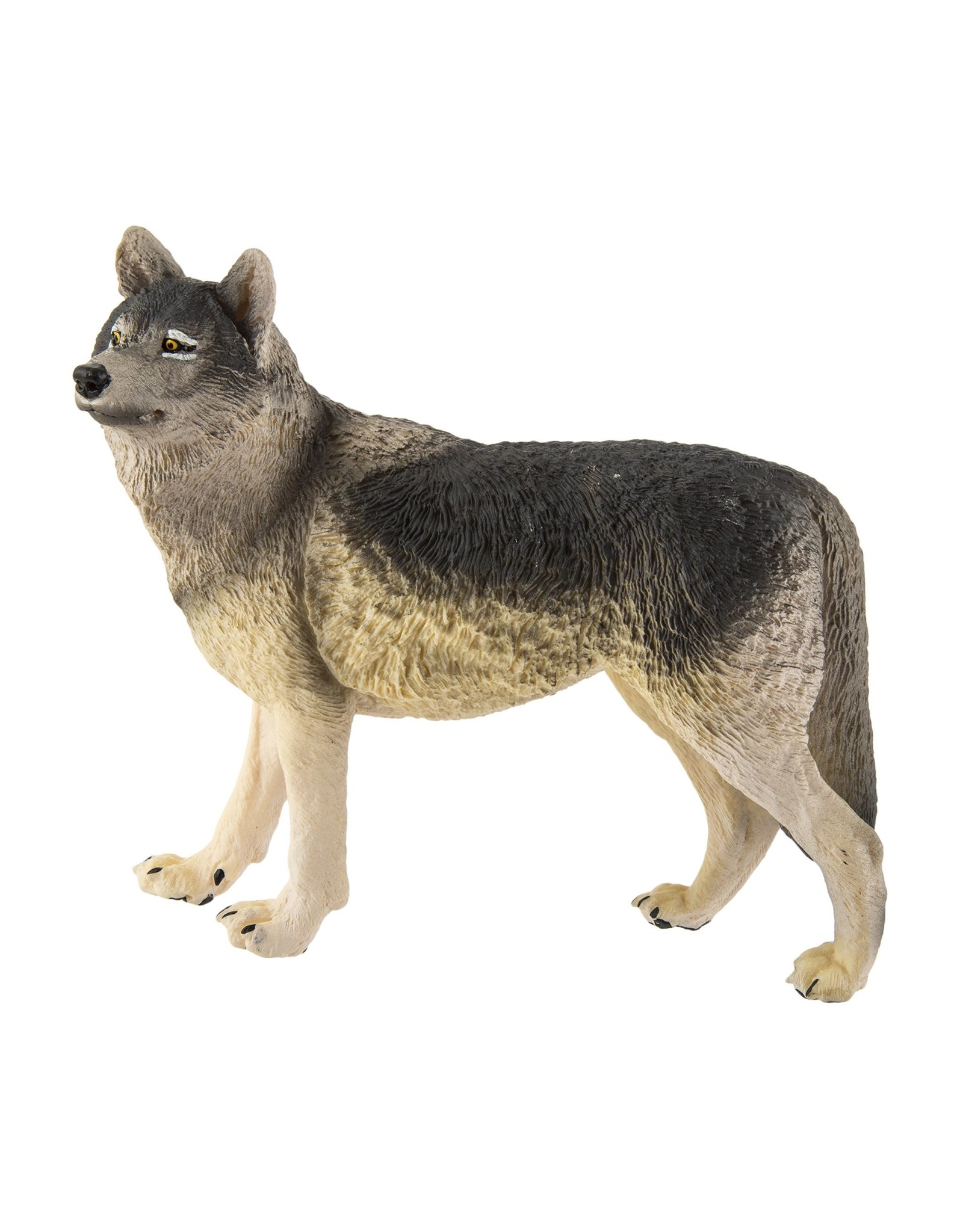 Grey Wolf