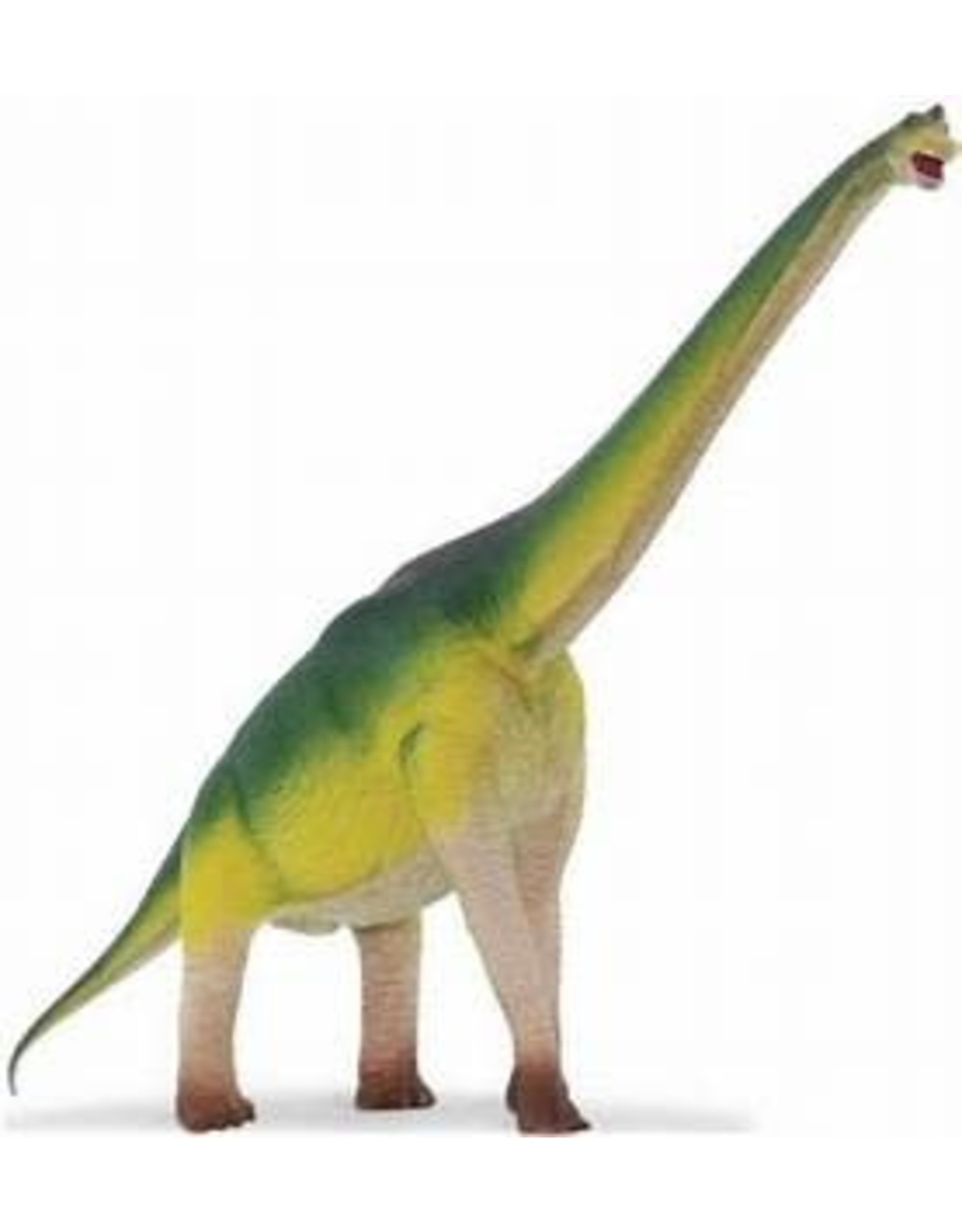 Brachiosaurus