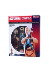 Torso Anatomy 4-D