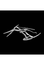 Pteranodon Skeleton