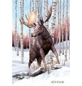 Moose 3D gift card