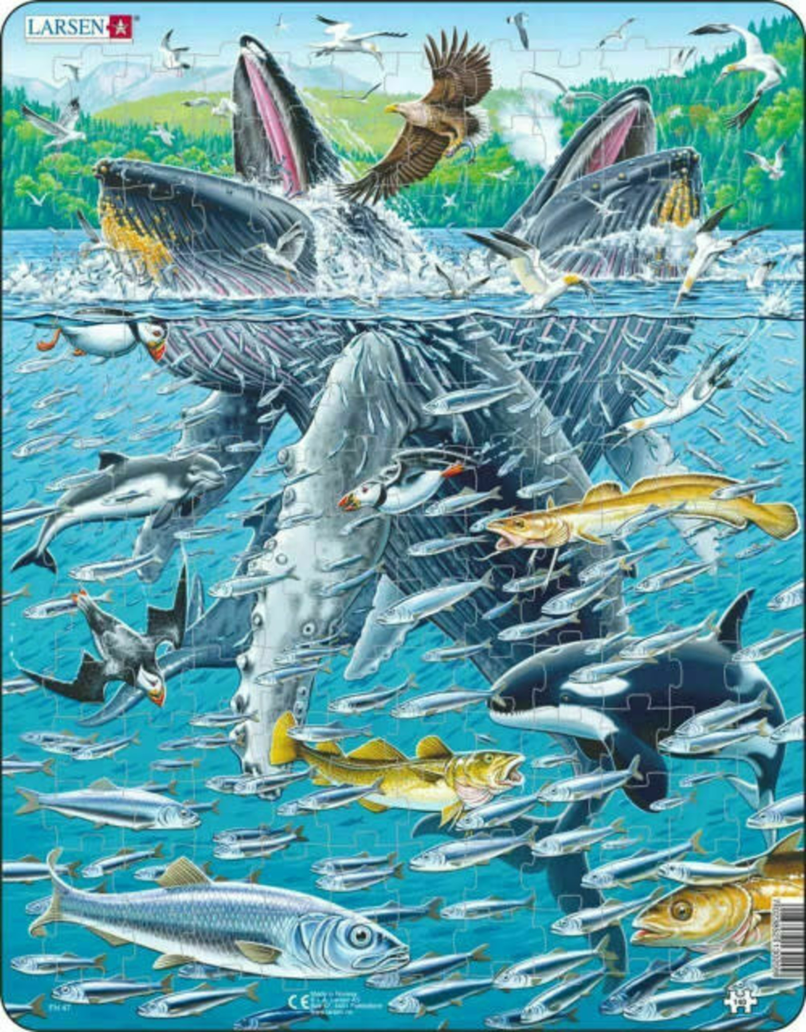 Humpback Whales 140 Piece Children's Educational Jigsaw Puzzle