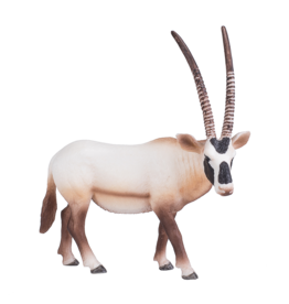 Arabian Oryx