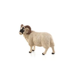 Black Faced Sheep (Ram)