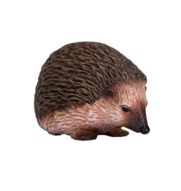 Hedgehog