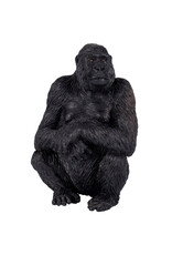 Gorilla Female
