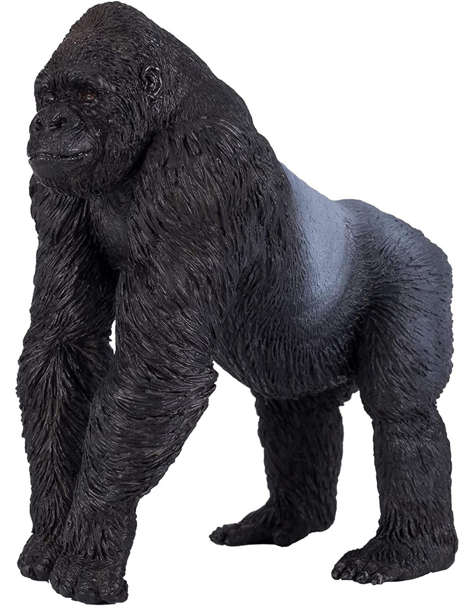 Gorilla Silverback