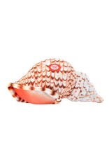 Wild Calls Stuffed Triton Conch Shell with Real Sound