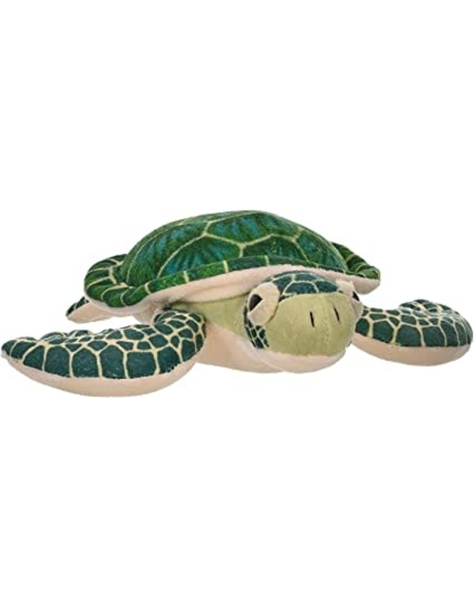 Jumbo Green Sea Turtle