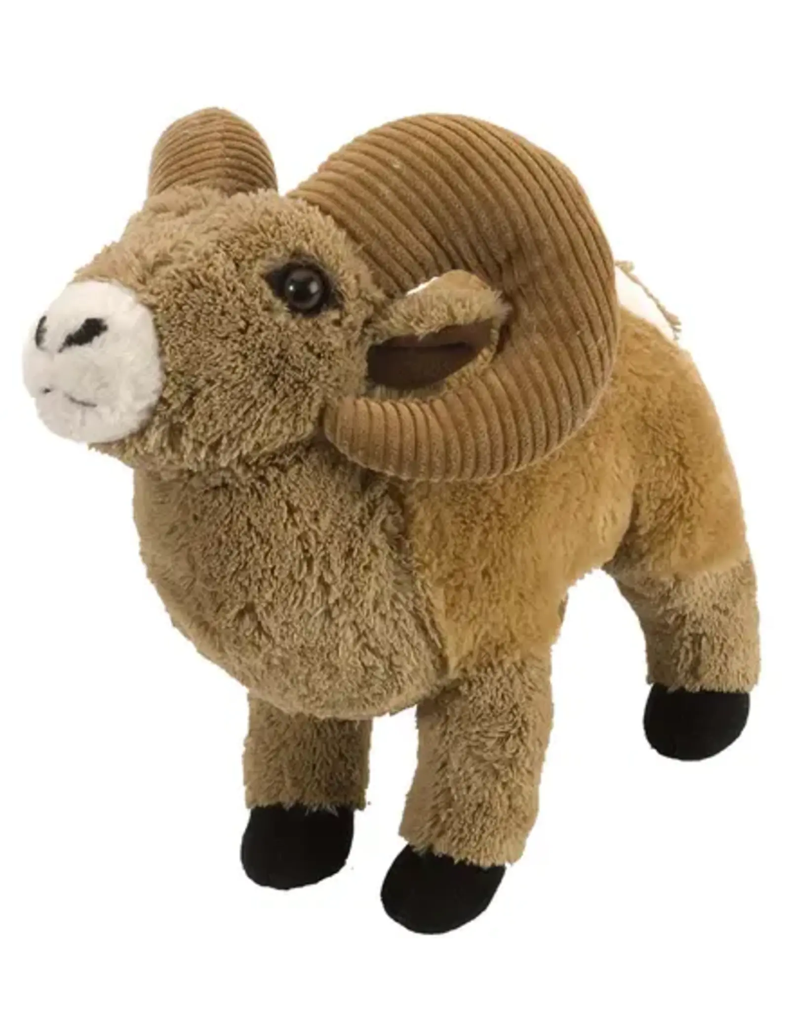 Bighorn Sheep