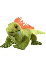 Iguana