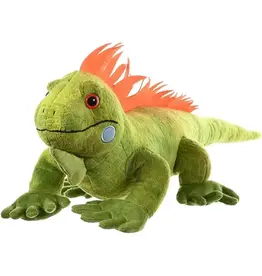 Iguana Iguana