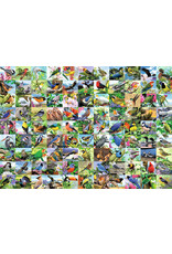 99 Delightful Birds 300 pc Large Format