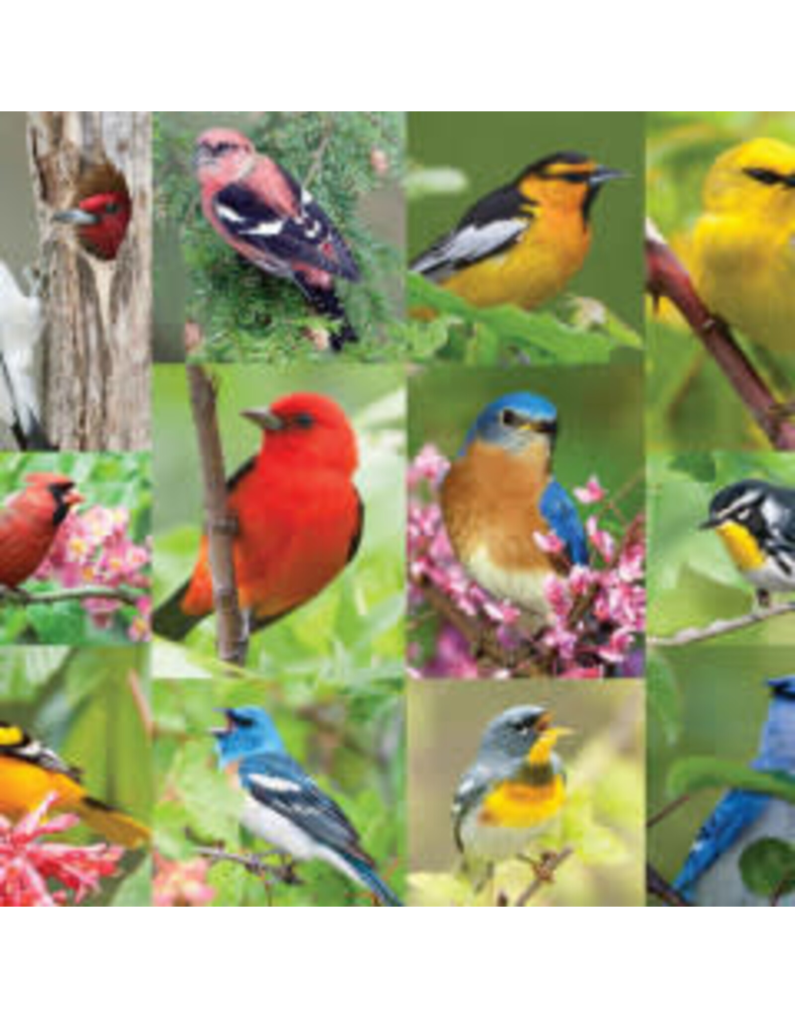 Birds of a Feather 36 Piece Jigsaw Puzzle