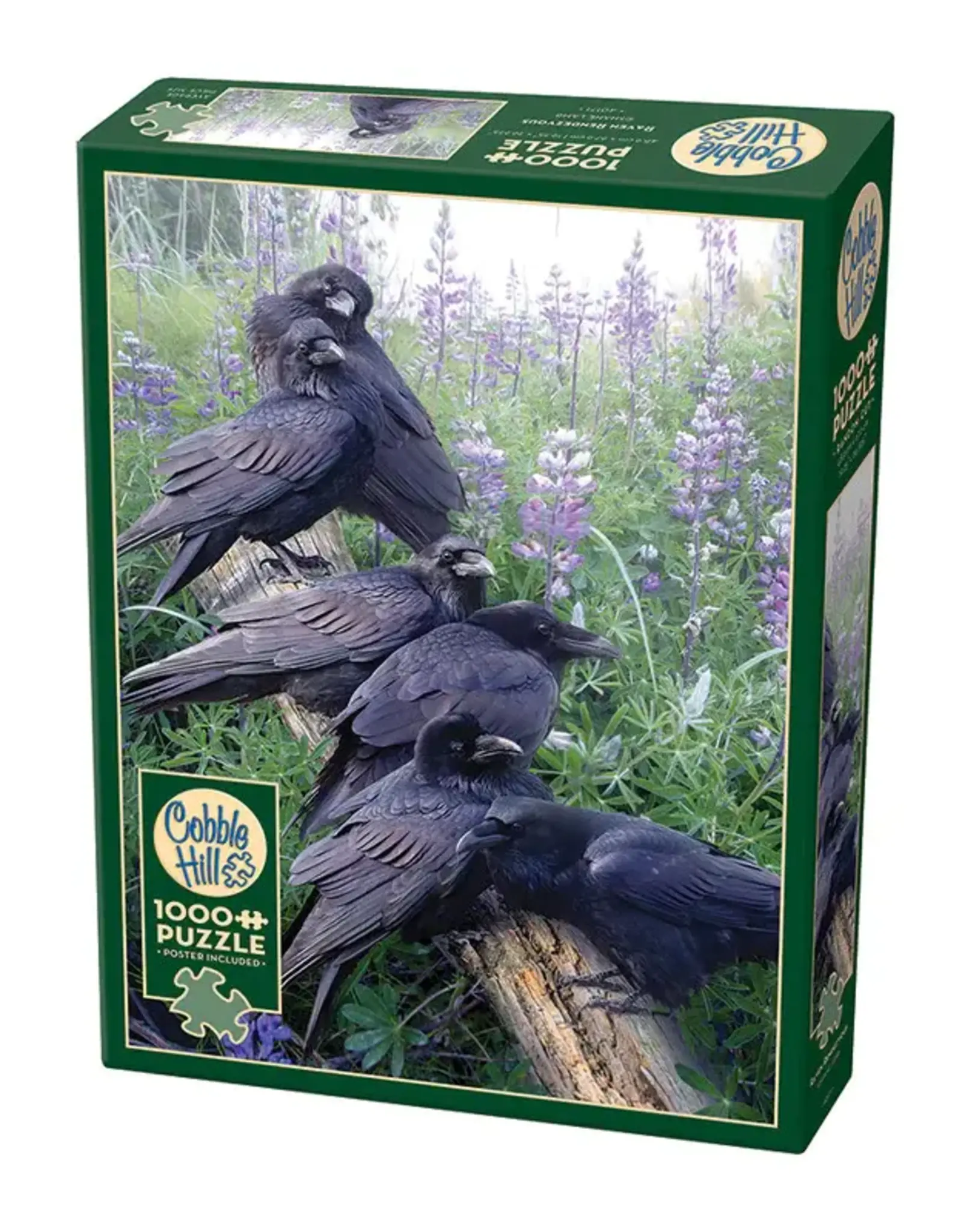 Raven Rendezvous 1000 pc
