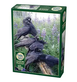 Raven Rendezvous 1000 pc