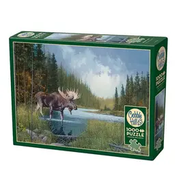 Moose Lake 1000 pc