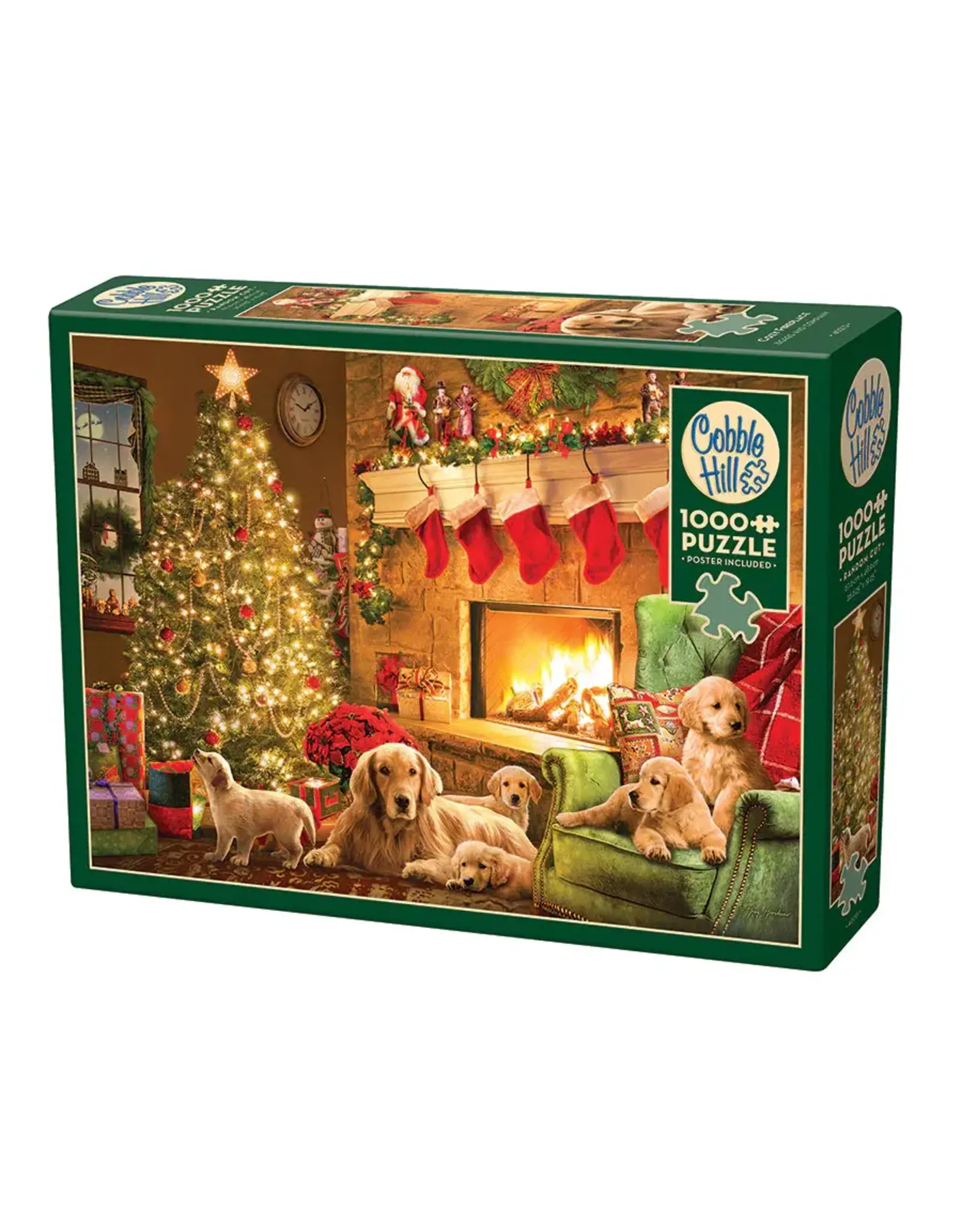 Cozy Fireplace 1000pc