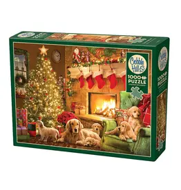 Cozy Fireplace 1000pc