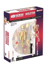 4D Human Skeleton