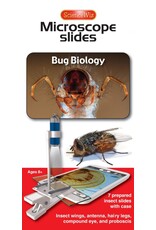 Bug Biology Slides (set of 7)